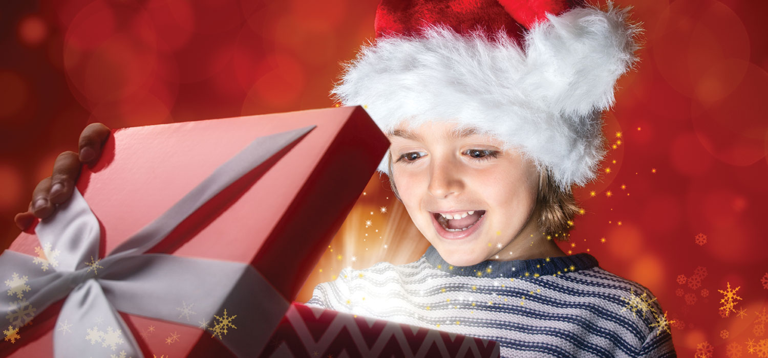 Gratitude Abounds with Holiday Adoption Program