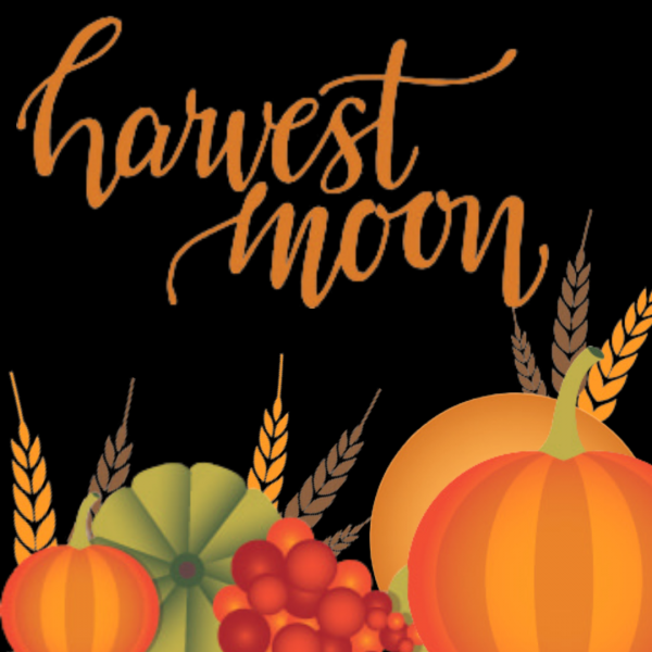 Harvest Moon Trivia 2025